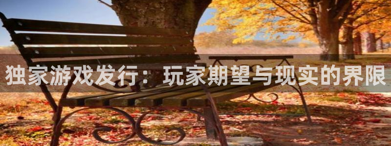db电竞智邦：独家游戏发行：玩家期望与现实的界限