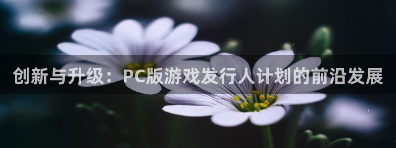 db电竞红酒怎么样：创新与升级：PC版游戏发行人计划的前沿发展