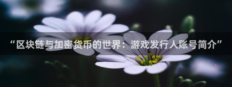 db电竞官网登录注册账号密码：“区块链与加密货币的世界：游戏发行人账号简介”