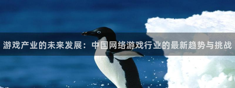 db电竞官网代理开号多少钱：游戏产业的未来发展：中国网络游戏行业的最新趋势与挑战