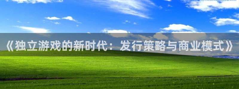 db电竞官网注册平台是什么软件：《独立游戏的新时代：发行策略与商业模式》