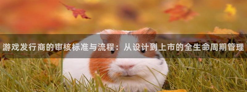 db电竞是哪个国家的衣服品牌：游戏发行商的审核标准与流程：从设计到上市的全生命周期管理