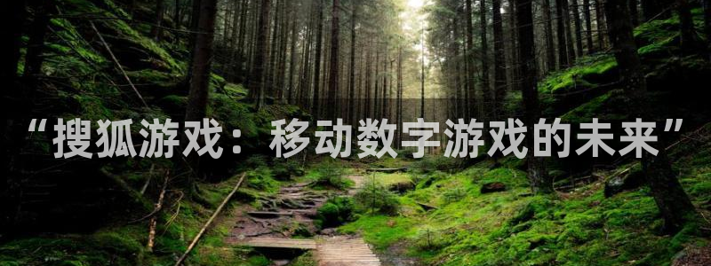 db电竞集团董事长刘一辰简历