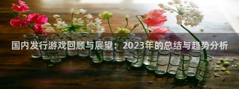 db电竞品牌策划团队介绍：国内发行游戏回顾与展望：2023年的总结与趋势分析