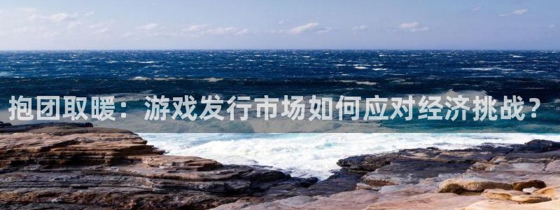 db电竞子股价：抱团取暖：游戏发行市场如何应对经济挑战？