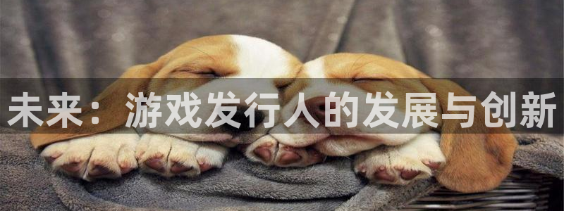 db电竞子酒业