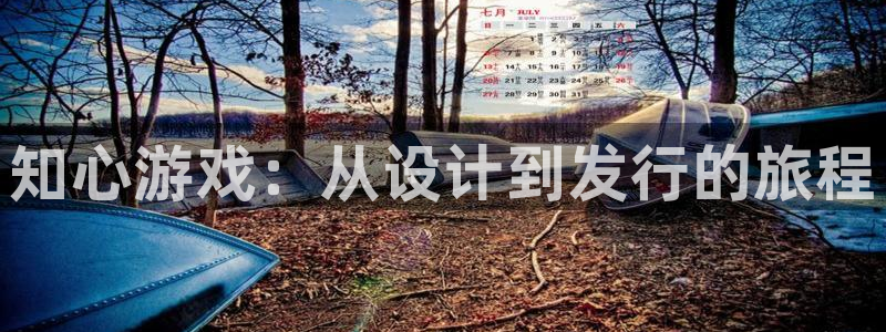 db电竞官网登录注册账号是什么样的：知心游戏：从设计到发行的旅程